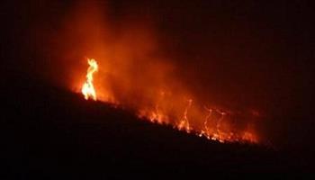 عمليات إخماد حريق في غابة شمال المغرب تتواصل