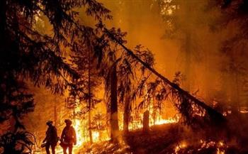 إصابة 22 شخصا جراء حريق ضخم اندلع في غابات منطقة فار بجنوب فرنسا