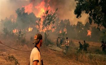 اتصال هاتفي بين خادم الحرمين والرئيس الجزائري بشأن أزمة حرائق الغابات