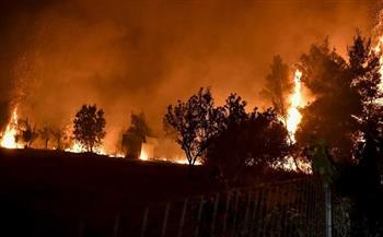 اليونان: استمرار حريق للغابات لليوم الثاني على التوالي وإجلاء القرى شمال غرب البلاد