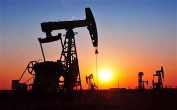 استقرار أسعار النفط يساهم فى تعويض الخسائر الأخيرة