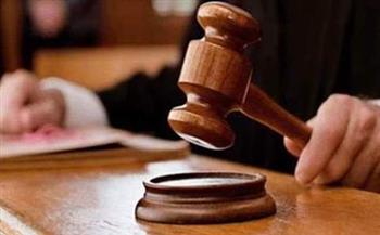 تأجيل محاكمة 12 متهمًا في قضية خلية هشام عشماوي