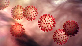 «الصحة»: استمرار ارتفاع أعداد المصابين بفيروس كورونا