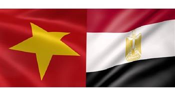 انعقاد اللجنة الفرعية للتعاون بين مصر وفيتنام في التجارة والصناعة