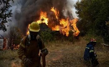 اليونان: نشوب حريق غابات جديد بجزر "إيفيا"