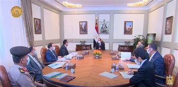 الرئيس السيسي يتابع خطط وجهود الدولة لتطوير قطاع الثروة المعدنية (فيديو)