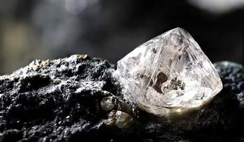 دراسة تؤكد أن الماس يتم استخراجه من الكائنات الحية