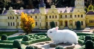 شاهد.. حرفىّ يحوّل تل النمل العملاق إلى قلعة للأرانب