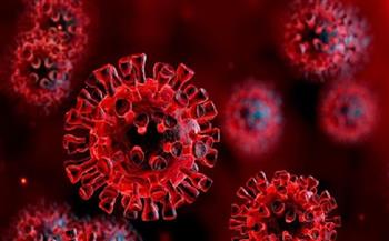 بايدن يتلقى تقريرًا سريًا «مخيبًا للآمال» حول مكان نشأة فيروس كورونا 