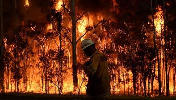 رئيس وزراء اليونان: أزمة حرائق الغابات تتطلب منا إحداث "تغييرات جذرية" لمواجهتها