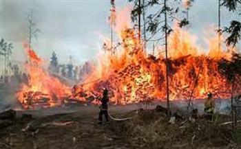 حرائق كثيفة تجتاح مدن روسية.. وبوتين يتعهّد بحماية الغابات