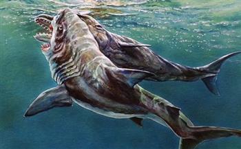 خناقة بين حوت وقرش تكشف حقائق علمية تعود لـ14 مليون سنة