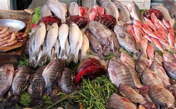 أسعار الأسماك اليوم 27-8-2021 