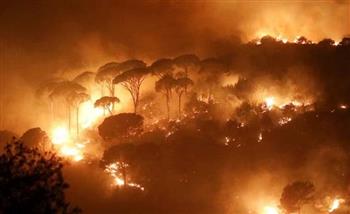 حريق غابات جديد يأتي على 20 هكتارا في مقاطعة تولومن بكاليفورنيا
