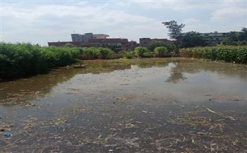 ارتفاع منسوب مياه النيل يتسبب فى غرق الأراضى الزراعية بقرية النحارية فى الغربية 