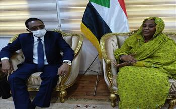 وزيرا خارجية السودان وتشاد يؤكدان ضرورة تنفيذ الاتفاقيات الثنائية