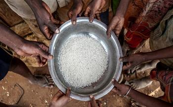 الأمم المتحدة: 17 دولة إفريقية معرضة لخطر انعدام الأمن الغذائي الحاد