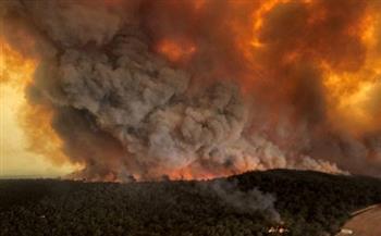 لبنان: حرائق الغابات تتجدد في عكار والدفاع المدني يحذر من ارتفاع درجات الحرارة