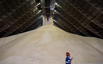 صقيع البرازيل يضرب أسعار السكر 