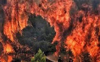 اليونان: تعديل وزاري مرتقب بعد اندلاع الحرائق في البلاد