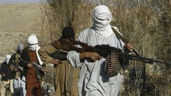 "الدفاع الأفغانية": مقتل 274 من عناصر طالبان وإصابة 119 في عمليات عسكرية