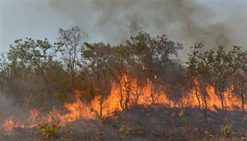 تزايد المخاوف مع بدء موسم حرائق الغابات في البرازيل