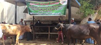 معهد التناسليات الحيوانية ينظم قافلة بيطرية مجانية في قرى بني سويف (صور)