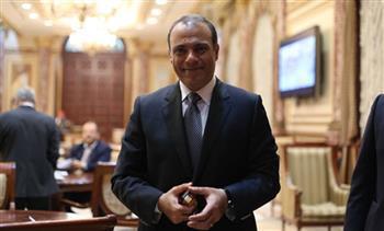 «الشهاوي»: زيارة وزير الخارجية للبحرين تؤكد دعم مصر الكامل للأمن القومي العربي