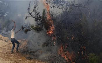 الجيش اللبناني: إخماد حرائق الغابات في أنحاء متفرقة بمساندة الطوافات والدفاع المدني