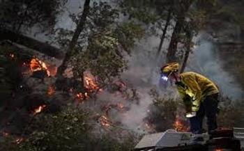الاتحاد الأوروبي: نشر 14 طائرة لإطفاء حرائق الغابات .. ومواصلة حشد المزيد من الدعم