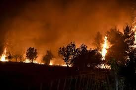 حرائق الغابات في اليونان.. جحيم يحيط بالسيارات والشواطئ في جزيرة إيفيا