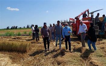 محافظ بورسعيد يشهد موسم حصاد الأرز ويؤكد دعم الدولة للمزراعين