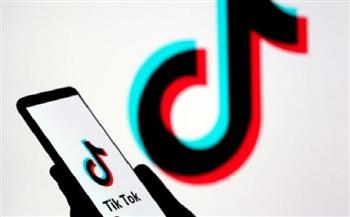 تأجيل دعوى حظر تطبيق تيك توك في مصر لـ 28 نوفمبر