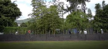 شجرة تعادل 10 تكييفات.. تعرف على تفاصيل مشروع «غابات مياواكي» (فيديو)