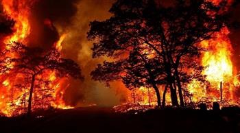 إسبانيا تنشر جنود لمواجهة حرائق الغابات جنوب شرق البلاد
