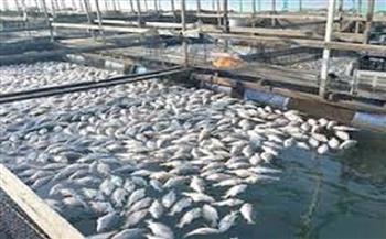 «المركزي لبحوث الثروة السمكية» بالشرقية ينظم برنامجا تدريبيا حول تداول الأسماك