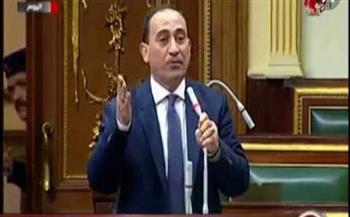 برلماني: فخورون بما تحققه الدولة من نجاحات.. والشعب المصري هو البطل