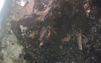 العثور على جثة متفحمة وسط حريق مخلفات فى الهرم 