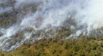 دراسة: دخان حرق الأخشاب يزيد من فرص الإصابة بكورونا