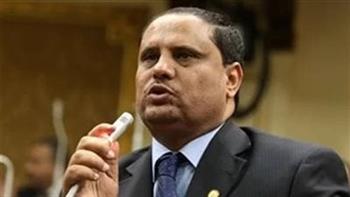 «إفريقية النواب» تثمن حرص مصر على دعم علاقاتها مع جمهورية الكونغو الديمقراطية 