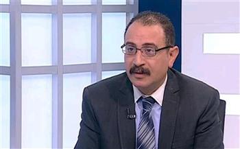 أستاذ علوم سياسية: مصر تحرص على إخراج القوات الأجنبية والمرتزقة من ليبيا