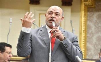 برلماني يشيد برؤية وزيرة التضامن ونجاح مصر في مواجهة الإرهاب بالتنمية