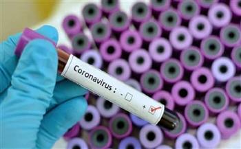 الإمارات تسجل 391 إصابة جديدة بفيروس كورونا