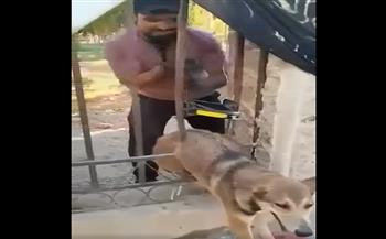 عراقي ينقذ كلبًا علق فى سياج حديدى (فيديو)