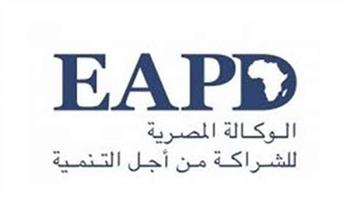 «المصرية للشراكة من أجل التنمية»: آلية جديدة للتعاون والدعم الفني بين القاهرة والدول الإفريقية