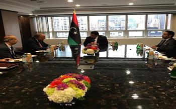 وزير الخارجية يؤكد دعم مصر لجهود تحقيق تسوية شاملة في ليبيا