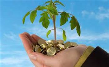تفاصيل تمويل المشروعات الصغيرة والمتوسطة في مختلف القطاعات التابعة للبنك الأهلي
