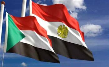 تشكيل الجمعية التأسيسية للشركة المصرية السودانية الأسبوع المقبل