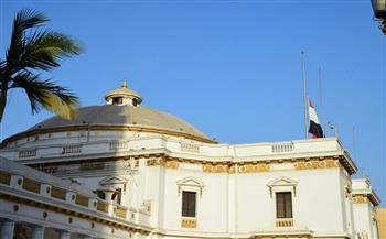 مجلس النواب ينكس العلم حداداً على وفاة المشير طنطاوي