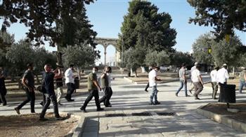 أعداد غفيرة من المستوطنين يقتحمون باحات الأقصى بحماية من شرطة الاحتلال